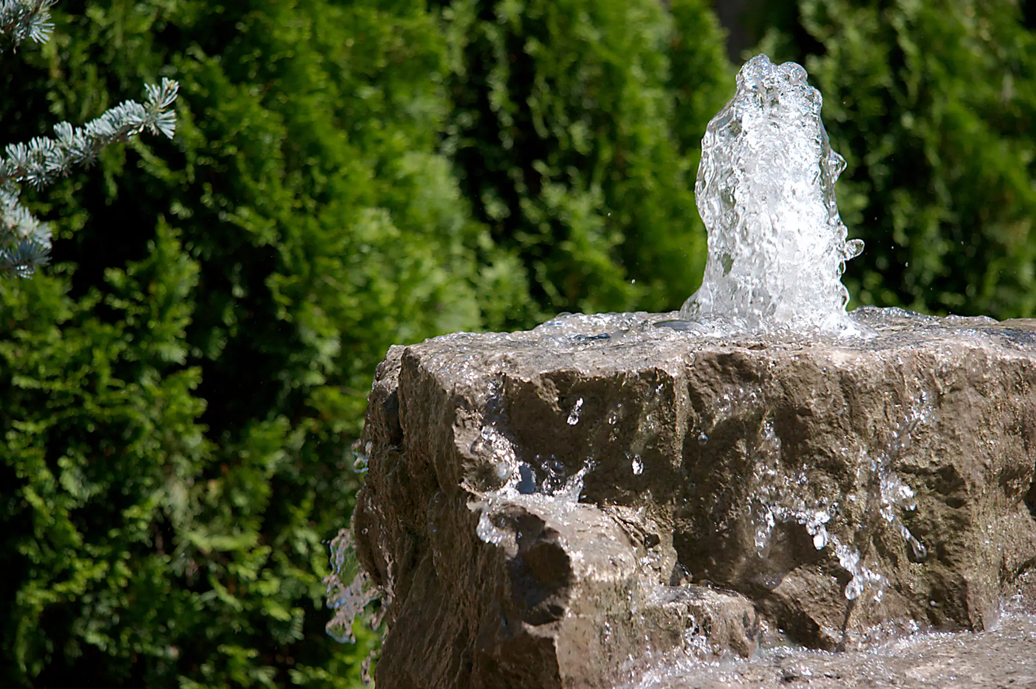 Water Features