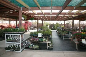 Garden Centre