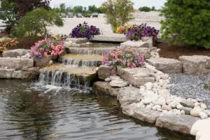 Water Features