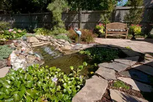 Water Features